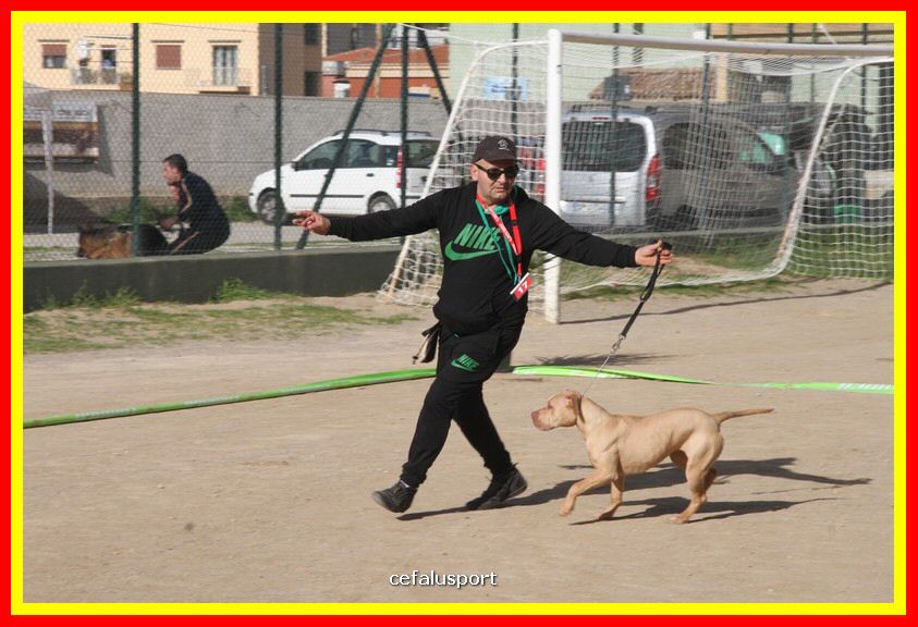 180311 mostra_canina 090.jpg